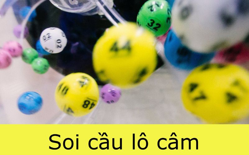 Lô câm là gì? Đầu câm nên đánh con gì để thắng cược? 2 Hôm nay về lô câm hôm sau đánh con gì?
