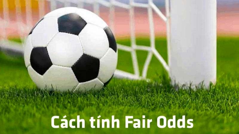 Cách tính fair odds mới nhất dành cho anh em tân thủ 2 Những cách tính fair odds mới nhất 2024